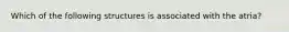 Which of the following structures is associated with the atria?