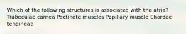 Which of the following structures is associated with the atria? Trabeculae carnea Pectinate muscles Papillary muscle Chordae tendineae