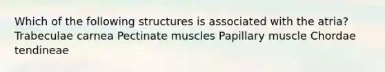 Which of the following structures is associated with the atria? Trabeculae carnea Pectinate muscles Papillary muscle Chordae tendineae