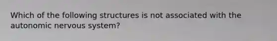 Which of the following structures is not associated with <a href='https://www.questionai.com/knowledge/kMqcwgxBsH-the-autonomic-nervous-system' class='anchor-knowledge'>the autonomic <a href='https://www.questionai.com/knowledge/kThdVqrsqy-nervous-system' class='anchor-knowledge'>nervous system</a></a>?