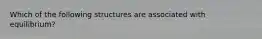 Which of the following structures are associated with equilibrium?