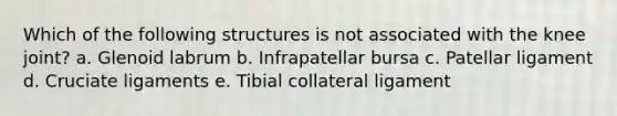 Which of the following structures is not associated with the knee joint? a. Glenoid labrum b. Infrapatellar bursa c. Patellar ligament d. Cruciate ligaments e. Tibial collateral ligament