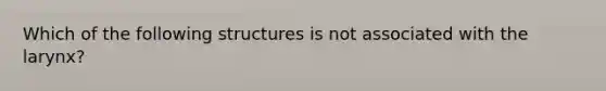 Which of the following structures is not associated with the larynx?