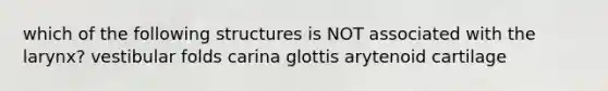 which of the following structures is NOT associated with the larynx? vestibular folds carina glottis arytenoid cartilage