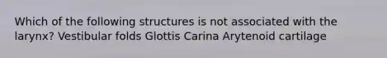 Which of the following structures is not associated with the larynx? Vestibular folds Glottis Carina Arytenoid cartilage