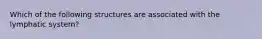 Which of the following structures are associated with the lymphatic system?