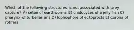 Which of the following structures is not associated with prey capture? A) setae of earthworms B) cnidocytes of a jelly fish C) pharynx of turbellarians D) lophophore of ectoprocts E) corona of rotifers