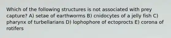 Which of the following structures is not associated with prey capture? A) setae of earthworms B) cnidocytes of a jelly fish C) pharynx of turbellarians D) lophophore of ectoprocts E) corona of rotifers