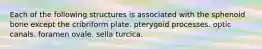 Each of the following structures is associated with the sphenoid bone except the cribriform plate. pterygoid processes. optic canals. foramen ovale. sella turcica.