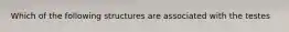 Which of the following structures are associated with the testes