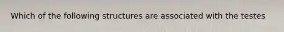 Which of the following structures are associated with the testes