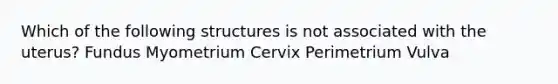 Which of the following structures is not associated with the uterus? Fundus Myometrium Cervix Perimetrium Vulva