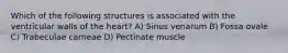 Which of the following structures is associated with the ventricular walls of the heart? A) Sinus venarum B) Fossa ovale C) Trabeculae carneae D) Pectinate muscle