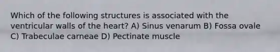 Which of the following structures is associated with the ventricular walls of the heart? A) Sinus venarum B) Fossa ovale C) Trabeculae carneae D) Pectinate muscle