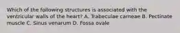 Which of the following structures is associated with the ventricular walls of the heart? A. Trabeculae carneae B. Pectinate muscle C. Sinus venarum D. Fossa ovale