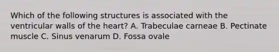 Which of the following structures is associated with the ventricular walls of the heart? A. Trabeculae carneae B. Pectinate muscle C. Sinus venarum D. Fossa ovale