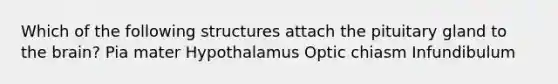 Which of the following structures attach the pituitary gland to the brain? Pia mater Hypothalamus Optic chiasm Infundibulum