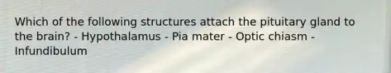 Which of the following structures attach the pituitary gland to the brain? - Hypothalamus - Pia mater - Optic chiasm - Infundibulum