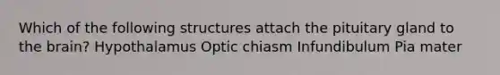 Which of the following structures attach the pituitary gland to the brain? Hypothalamus Optic chiasm Infundibulum Pia mater