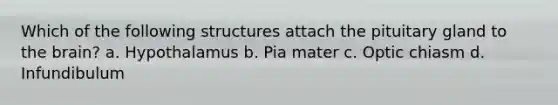 Which of the following structures attach the pituitary gland to the brain? a. Hypothalamus b. Pia mater c. Optic chiasm d. Infundibulum