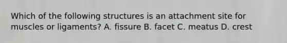 Which of the following structures is an attachment site for muscles or ligaments? A. fissure B. facet C. meatus D. crest