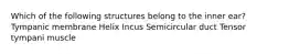 Which of the following structures belong to the inner ear? Tympanic membrane Helix Incus Semicircular duct Tensor tympani muscle