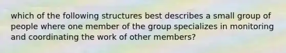 which of the following structures best describes a small group of people where one member of the group specializes in monitoring and coordinating the work of other members?