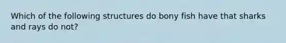 Which of the following structures do bony fish have that sharks and rays do not?