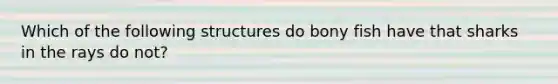 Which of the following structures do bony fish have that sharks in the rays do not?