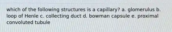 which of the following structures is a capillary? a. glomerulus b. loop of Henle c. collecting duct d. bowman capsule e. proximal convoluted tubule