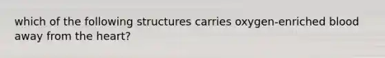which of the following structures carries oxygen-enriched blood away from <a href='https://www.questionai.com/knowledge/kya8ocqc6o-the-heart' class='anchor-knowledge'>the heart</a>?