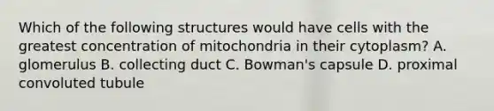 Which of the following structures would have cells with the greatest concentration of mitochondria in their cytoplasm? A. glomerulus B. collecting duct C. Bowman's capsule D. proximal convoluted tubule