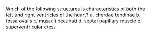 Which of the following structures is characteristics of both the left and right ventricles of the heart? a. chordae tendinae b. fossa ovalis c. musculi pectinati d. septal papillary muscle e. superventricular crest