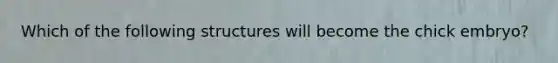 Which of the following structures will become the chick embryo?