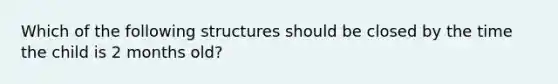 Which of the following structures should be closed by the time the child is 2 months old?