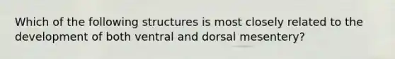 Which of the following structures is most closely related to the development of both ventral and dorsal mesentery?