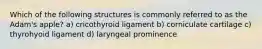 Which of the following structures is commonly referred to as the Adam's apple? a) cricothyroid ligament b) corniculate cartilage c) thyrohyoid ligament d) laryngeal prominence