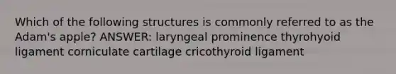 Which of the following structures is commonly referred to as the Adam's apple? ANSWER: laryngeal prominence thyrohyoid ligament corniculate cartilage cricothyroid ligament