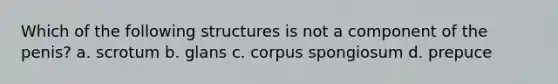 Which of the following structures is not a component of the penis? a. scrotum b. glans c. corpus spongiosum d. prepuce