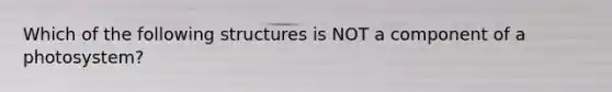 Which of the following structures is NOT a component of a photosystem?