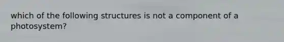 which of the following structures is not a component of a photosystem?