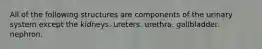 All of the following structures are components of the urinary system except the kidneys. ureters. urethra. gallbladder. nephron.