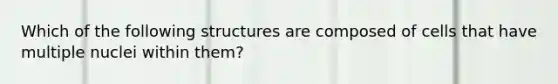 Which of the following structures are composed of cells that have multiple nuclei within them?