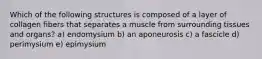 Which of the following structures is composed of a layer of collagen fibers that separates a muscle from surrounding tissues and organs? a) endomysium b) an aponeurosis c) a fascicle d) perimysium e) epimysium