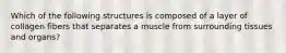 Which of the following structures is composed of a layer of collagen fibers that separates a muscle from surrounding tissues and organs?