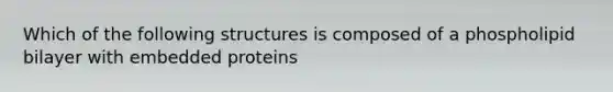 Which of the following structures is composed of a phospholipid bilayer with embedded proteins