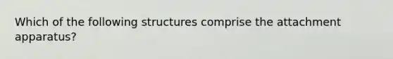 Which of the following structures comprise the attachment apparatus?