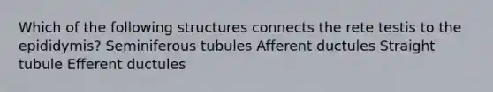 Which of the following structures connects the rete testis to the epididymis? Seminiferous tubules Afferent ductules Straight tubule Efferent ductules