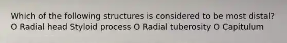 Which of the following structures is considered to be most distal? O Radial head Styloid process O Radial tuberosity O Capitulum