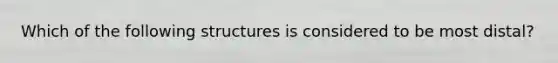 Which of the following structures is considered to be most distal?